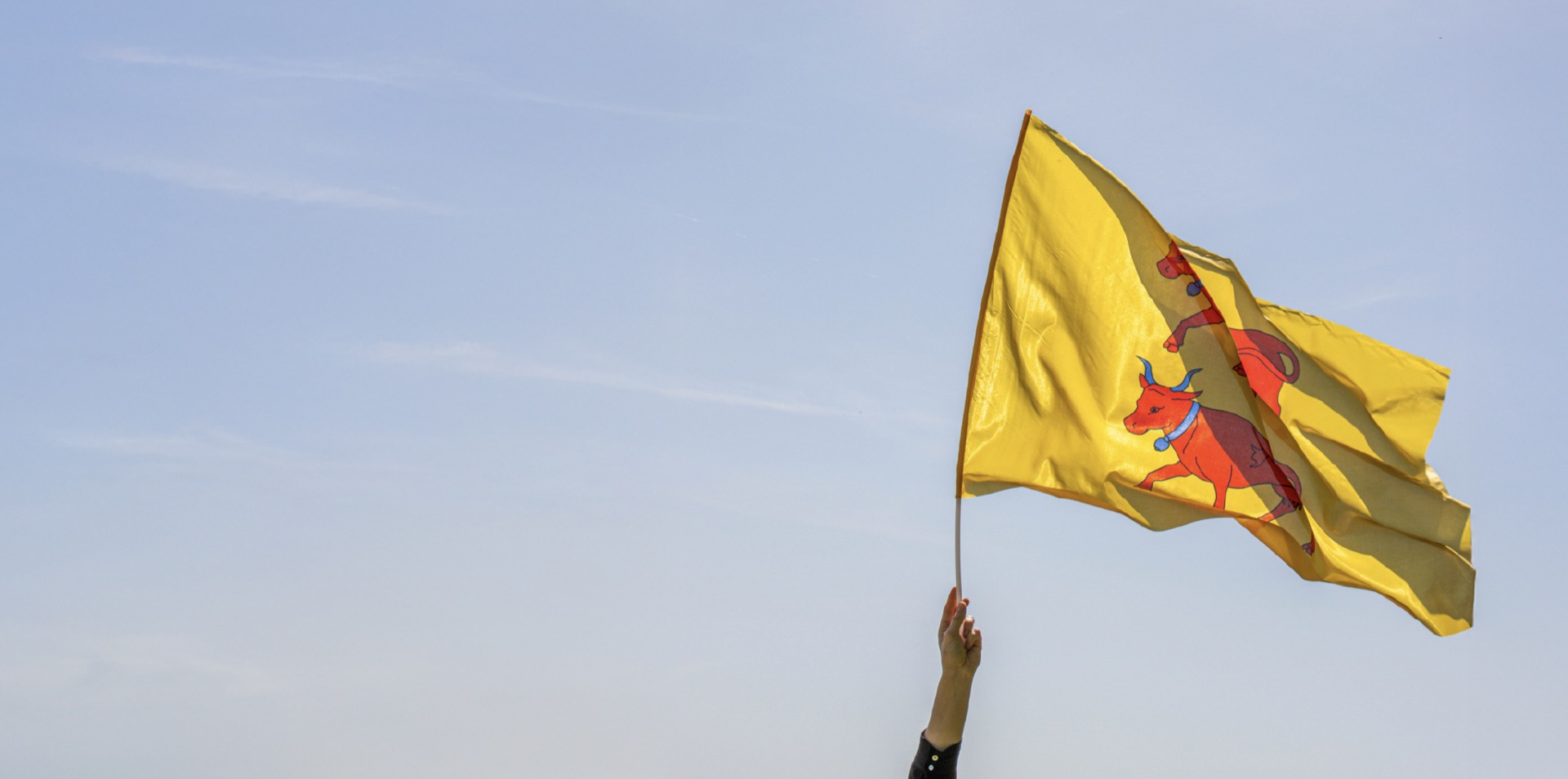 Main qui brandit le drapeau béarnais devant les Pyrénées